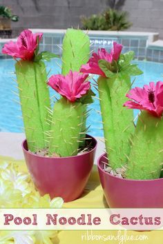 three potted cactus plants next to a swimming pool with the words pool noodle cactus