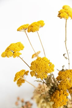 some yellow flowers are in a vase on the table