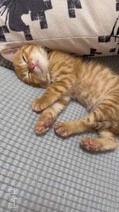 an orange tabby cat sleeping on top of a bed next to a pillow and pillows