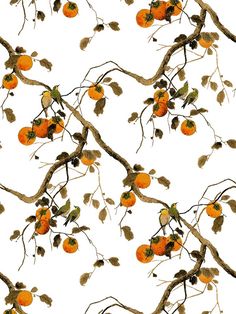 an orange tree with lots of fruit hanging from it's branches in front of a white sky