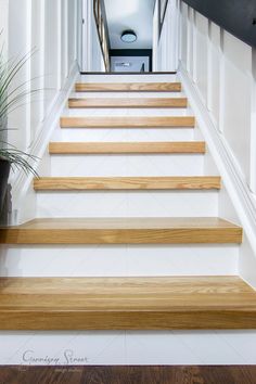 a set of wooden stairs leading up to a hallway