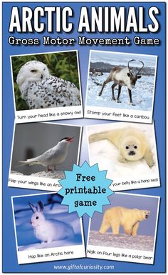 arctic animals cross motor movement game for kids