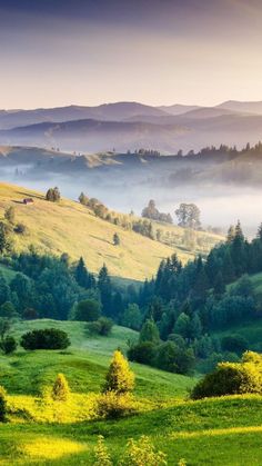 the rolling hills are covered in fog and trees