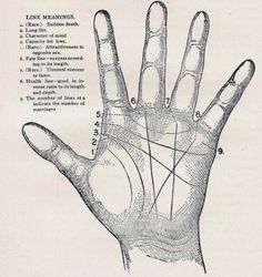 an old hand with lines drawn on it and arrows pointing up to the left side