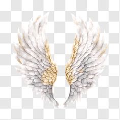 two white and gold wings on a transparent background png clipart free for personal use