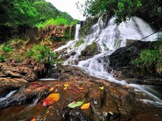 a waterfall with leaves on the rocks and water running down it's sides, surrounded by greenery