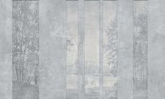 an image of a wallpaper with trees and grass on the outside, in grey tones