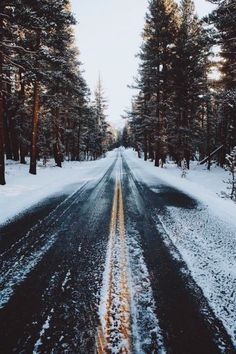 an empty road in the middle of a snow covered forest with lots of trees on both sides