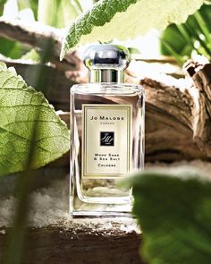 JO MALONE LONDON Wood Sage & Sea Salt Cologne - Alive with the mineral scent of the rugged cliffs mingled with the woody earthiness of sage, this fragrance is lively, spirited, and totally joyful. Jo Malone Fragrance, Jo Malone Perfume, Spring Fragrances, Peony Blush Suede, Perfume Photography, Perfume Reviews, Best Perfume, Luxury Perfume