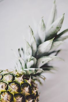 a black and white photo of a pineapple