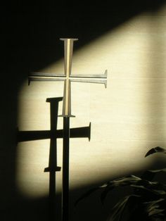 the shadow of a cross on a wall with a potted plant in front of it