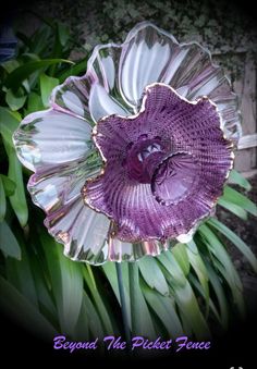 a purple glass flower sitting in the middle of some grass and flowers with words beyond the picket fence