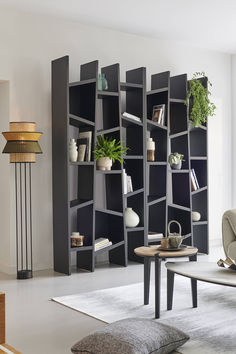 a living room filled with furniture and bookshelves next to a wall mounted planter