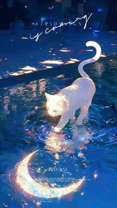 a white cat standing on top of a body of water next to a crescent moon