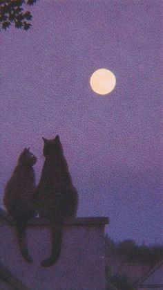 two cats sitting on top of a roof looking at the moon