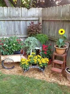 the garden is full of flowers and plants in pots, along with some other things