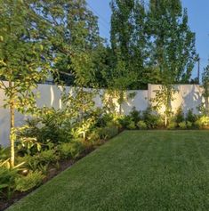 an outdoor area with grass, trees and bushes in the middle of it is lit up by low lighting