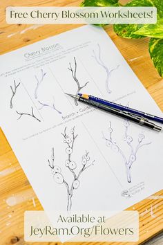 the free cherry blossom worksheets are available at jekyram org / flowers