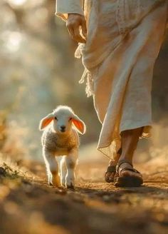 a person walking down a path with a lamb in their hand and another animal on the other side