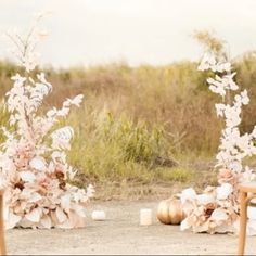 two wooden chairs sitting next to each other near flowers and pumpkins on the ground