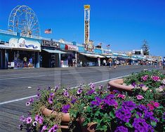 the boardwalk is lined with shops and flowers