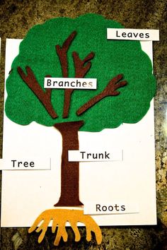 the parts of a tree cut out from paper