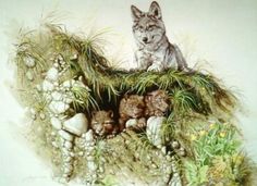 a drawing of a cat sitting on top of a pile of rocks and grass next to plants