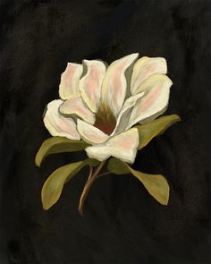 a painting of a white flower on a black background