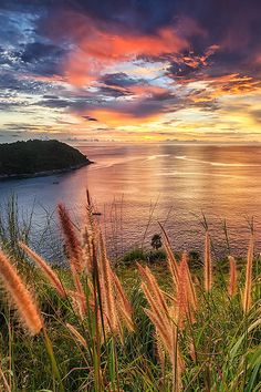 the sun is setting over the ocean with grass in foreground and clouds in the background