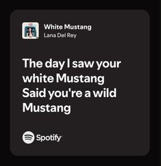 the day i saw your white mustang said you're a wild mustang by lamaa del rey