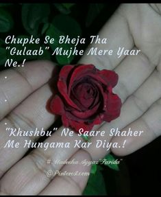 someone holding a red rose in their hand with the words on it that read chupke se bhiya tha gulab mujhe mere meere yar ye ne ne ne ne ne ne