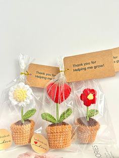 three flower potted plants in plastic bags with thank you for helping me grow tags