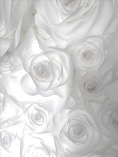 white roses are arranged in the center of this photo, and it looks like they have been made out of paper