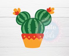 a watermelon cactus in a pot with flowers