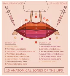 Skin Anatomy, Medical Esthetician, Permanente Make-up