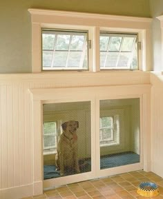 a dog sitting in its kennel looking out the window