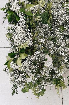 white flowers and green leaves are arranged in a circle on the ground, with one plant growing out of it's center