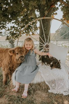 Cow Family Pictures, Farm Photoshoot, Mini Photo Sessions, Farm Family