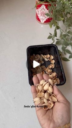 a person is holding some nuts in their hand and they are about to be picked up