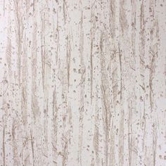 Sample Birch Wallpaper in beige from the Mansard Collection by Osborne & Little Birch Wallpaper, Vinyl Wall Covering, Trees Wallpaper, 1% Wallpaper, Silver Birch, Tree Wallpaper, Bathroom Wallpaper, Wallpaper Online, Burke Decor