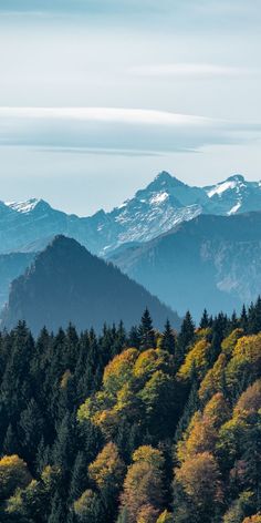 the mountains are covered in snow and trees with yellow, green, and orange leaves