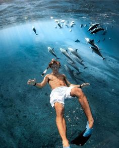 a man swimming in the ocean surrounded by dolphins and other marine creatures, with his head above water's surface