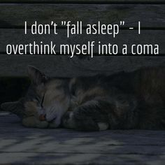 a cat sleeping on top of a wooden bench with the caption i don't fall asleep - i overthik my self into a comma