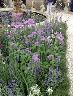 a garden filled with lots of purple and white flowers