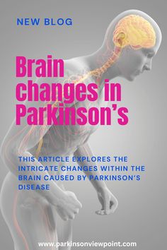 Parkinson’s disease is not just a disorder of movement; it’s a complex neurological condition rooted in brain cell functions. Here' we examine the critical cellular processes that drive this neurological condition. Parkinson’s Exercise, Frontal Lobe, Reactive Oxygen Species, Brain Structure, White Matter, Lower Back Pain Exercises, Memory Problems