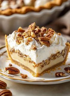 a piece of pie on a plate with pecans around the edges and one slice missing