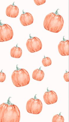 an orange pumpkin pattern on a white background