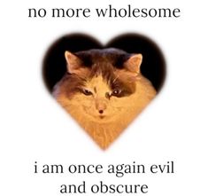 a cat with its head in the shape of a heart and text that reads, no more wholesome i am once again evil and obscure