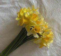 yellow daffodils are arranged on a white sheet