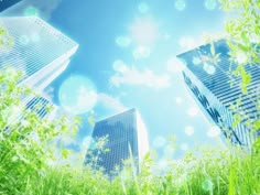 some tall buildings are in the grass and blue sky is reflected by them on this sunny day